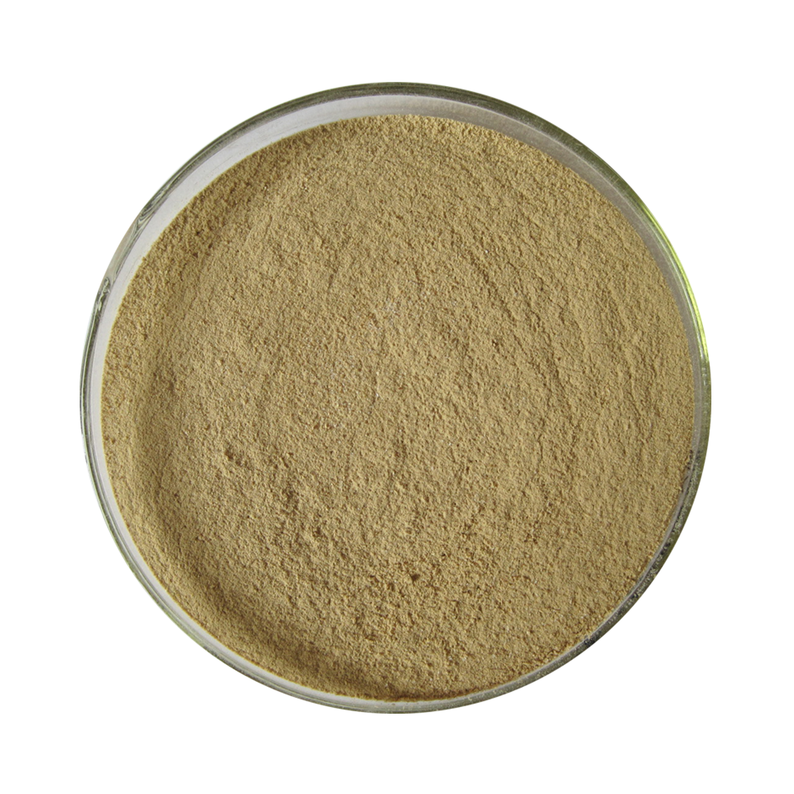 Stable Neutral Protease Powder for Feed Additives