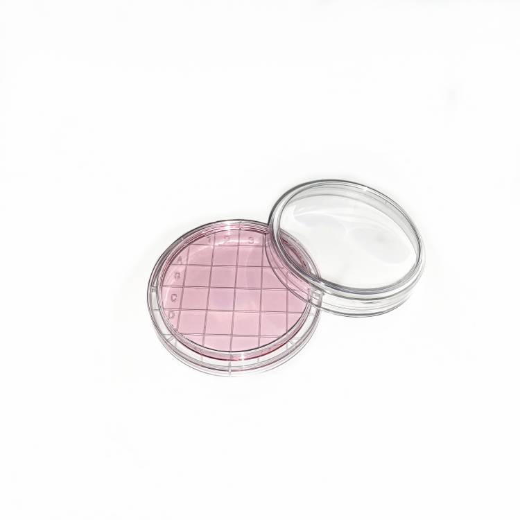Plastic Petri Dish Sample Contact Petri Dish 60 x 15mm with lid Plate for Chemistry Lab