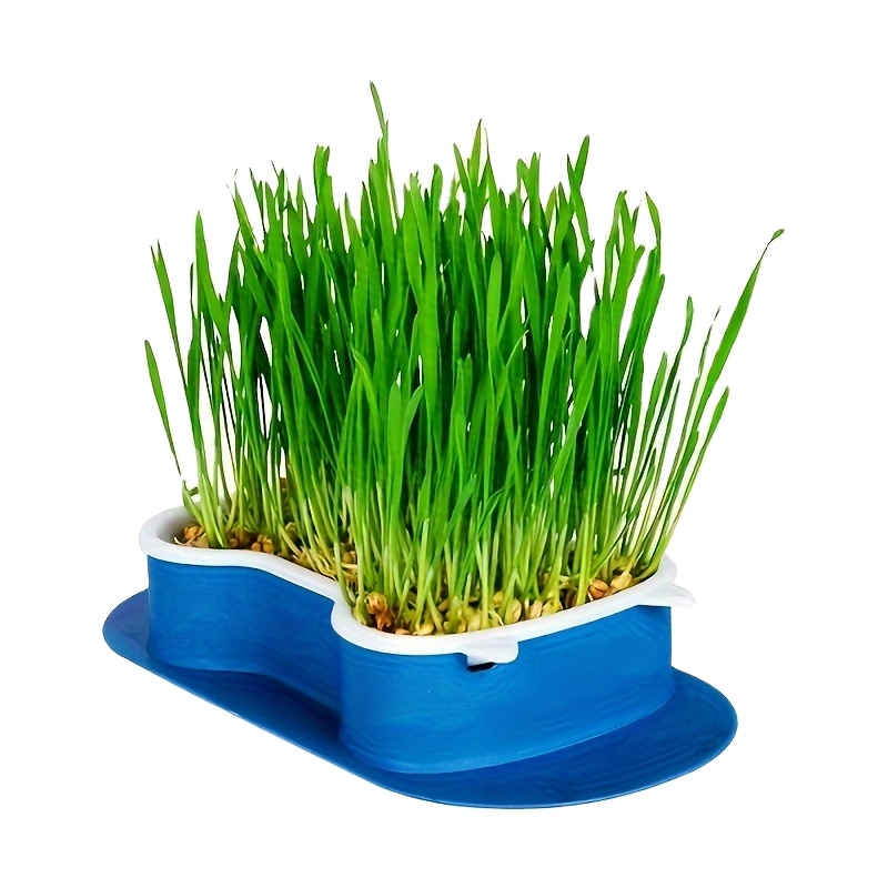 Tray Hydroponic Cat Grass Pet Cat Grass Digestion Growing Planter Vermiculite Cat Grass