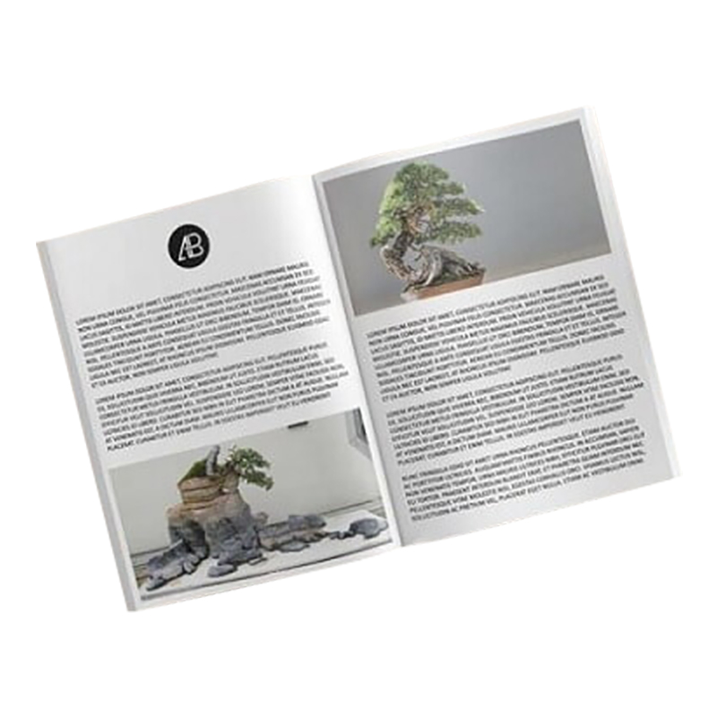 Customized Advertising Book/Booklet/Magazine/Brochures Flyer Printing Cheap Magazines