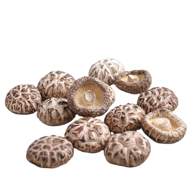 Natural Cultivated Shiitake Mushrooms - Premium White Fungus Truffles Dried 3-4cm Hua Truffles