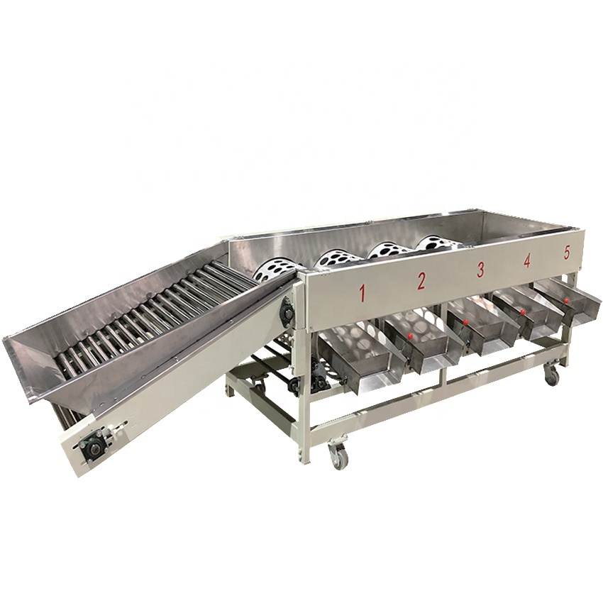 Onion sorting machine potato and onion sorting machine with lemon