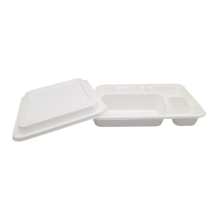Chinese Manufacture Sugarcane Bagasse Meal Biodegradable Food Boxes With 5 Compartments