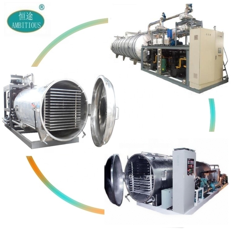 Automatic Freeze Dried Pet Food Vacuum Dryer Lyophilizer Machine PLC Controlled 300kg Capacity PLC + Touch Screen Oil Heating 26