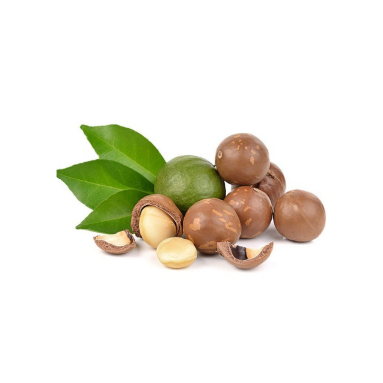 Top Selling Natural Macadamia Nuts Good For Health Oem Odm Service From Vietnam Manufacturer