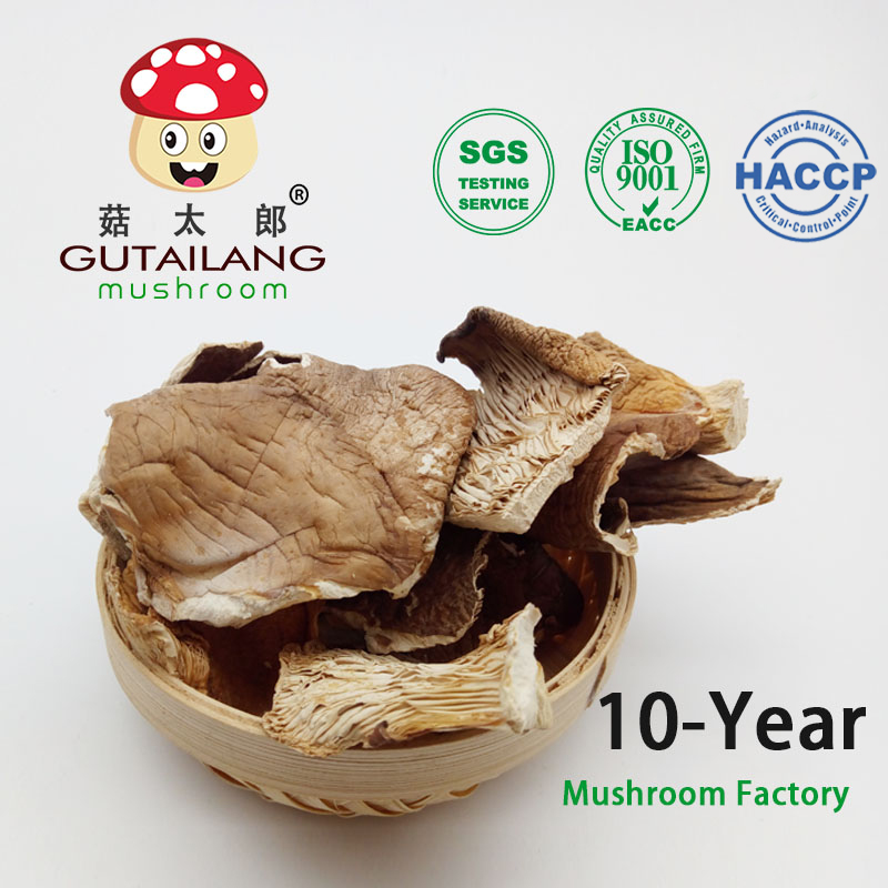 Сушеные pleurotus ostreatus вешенки объемных частей