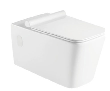 Wall-hung Washdown Comfortable and Special Ceramic Toilet with Optional Accessories for Foreign Trade