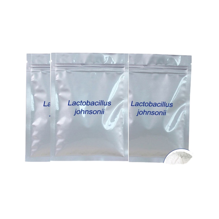 Vegan Lactobacillus johnsonii LBJ 456 20 млрд cfu/g пробиотики оптом порошок пищевые добавки для здоровья