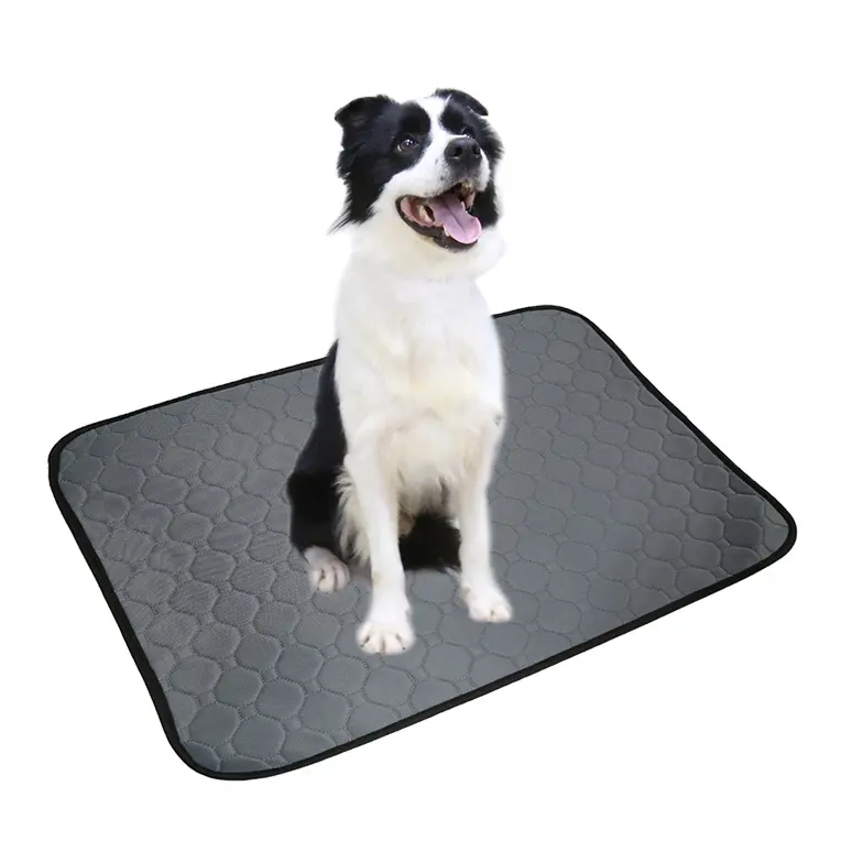 Newest design top quality popular product pet pee pad incontinence pads