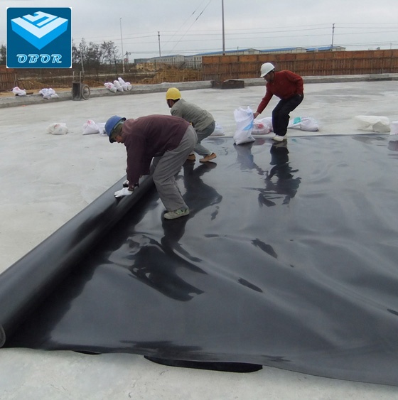 Antiseepage HDPE черный гладкий текстурированный геомембрана листы рыбы креветки фермы пруда Лайнер завод напрямую поставка цена