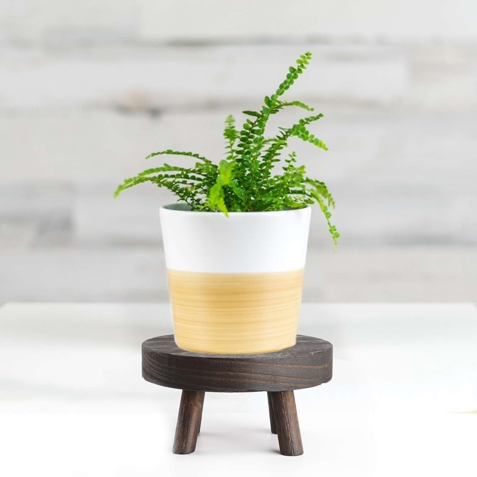 Garden Plant Pot Riser Wood Rack Display Stand Flower Height 6CM Indoor Home 1pcs Decor Outdoor Wooden Holder