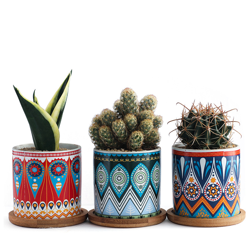 Wholesale succulent ceramic flower pot colorful flower pot