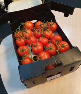 Огнезащитные складные коробки для хранения овощей из гофрированного полипропилена