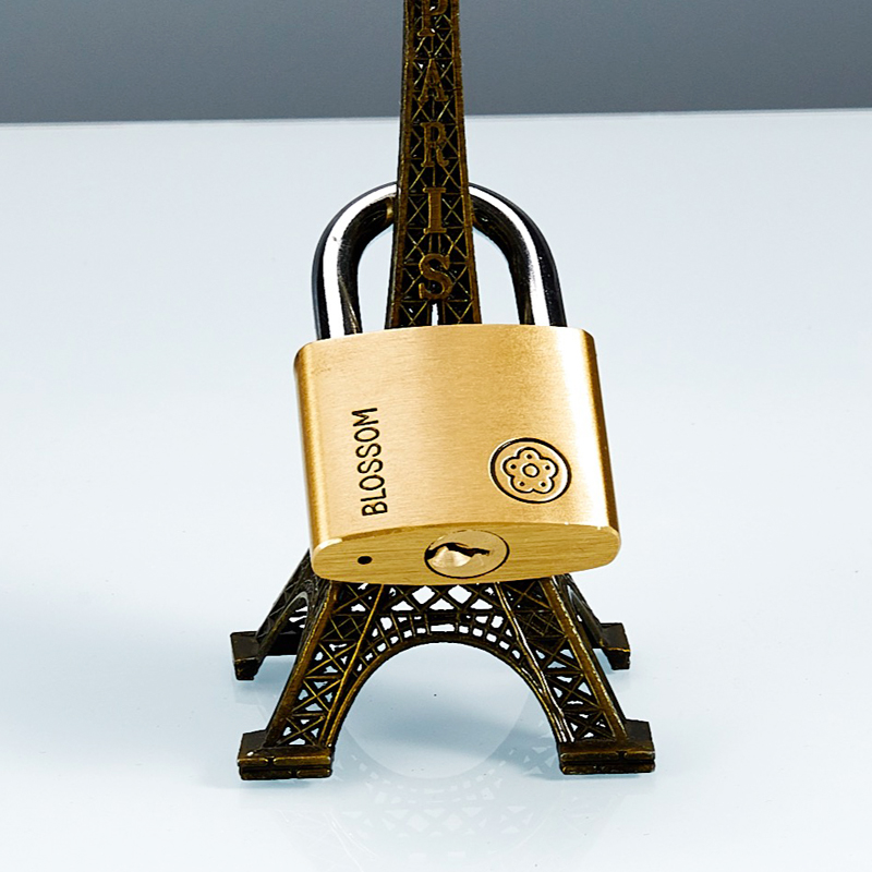 50mm blossom heavy duty Candado big Pad Lock Round Candados Padlocks large Brass Padlock modern lock set