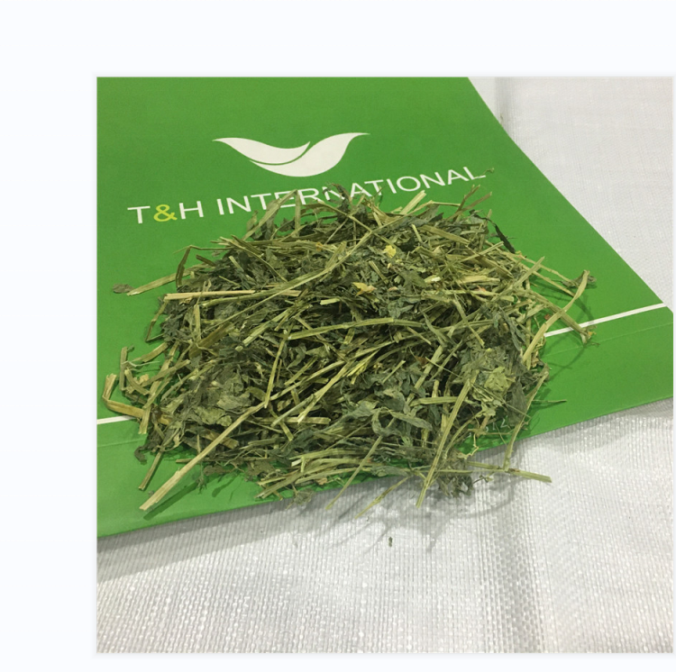 Animal Feed Good+ Quality Alfalfa Hay for farm supply