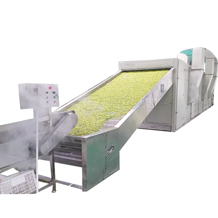 SHOUCHUANG Pet Food Cassava Multi Mesh Belt Oven Conveyor Hot Wind Dryer Drying Machine for Pepper Herbs Dryer Machine