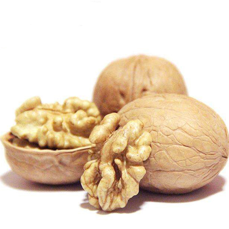 Dry fruit fresh 33 walnuts price Wholesale Dried Nuts Wallnut Kernels walnut without shell