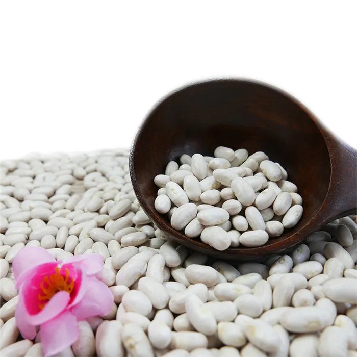 Wholesale supply China natural plant pure baishake white kidney bean canned food bean /Alubia/ vanilla beans