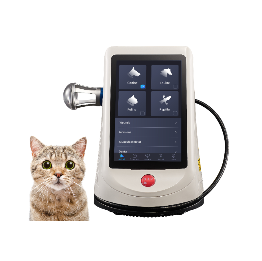 Berylas Class IV veterinary therapy laser medical equipment for deep tissure therapy