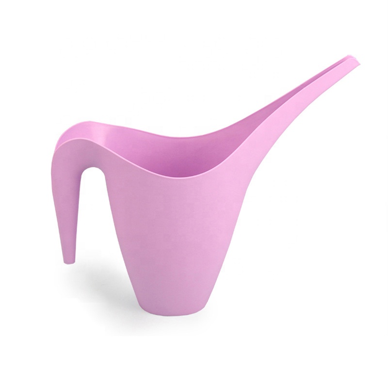Small Plant Watering Can Indoor Watering Pot for House Plants