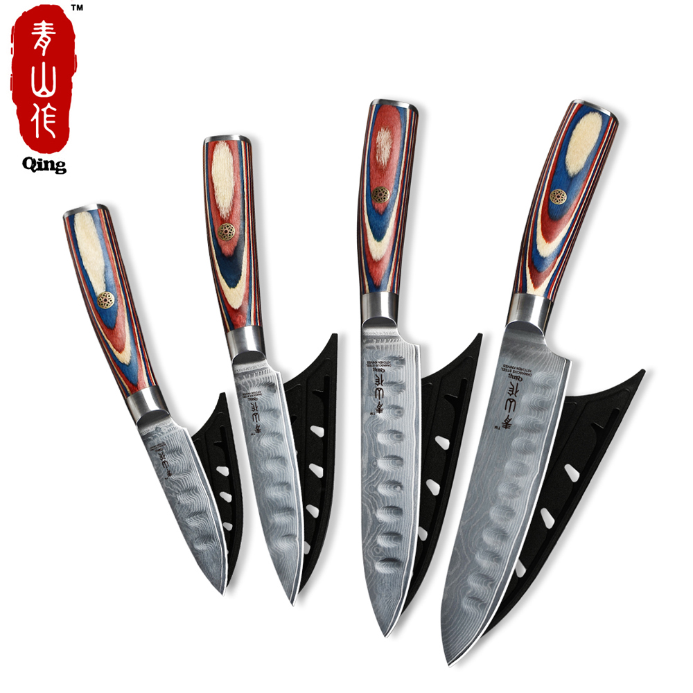 Кухонные ножи Yangjiang из Дамаска, 4 шт., цветная ручка для резки фруктов, дамасский нож VG10, Пакистан с ножным футляром