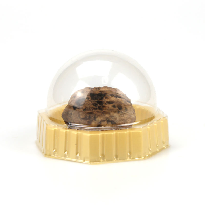 Plastic Storage Containers,Small Mini Plastic Clear Food Grade Cookie Containers Box Plastic