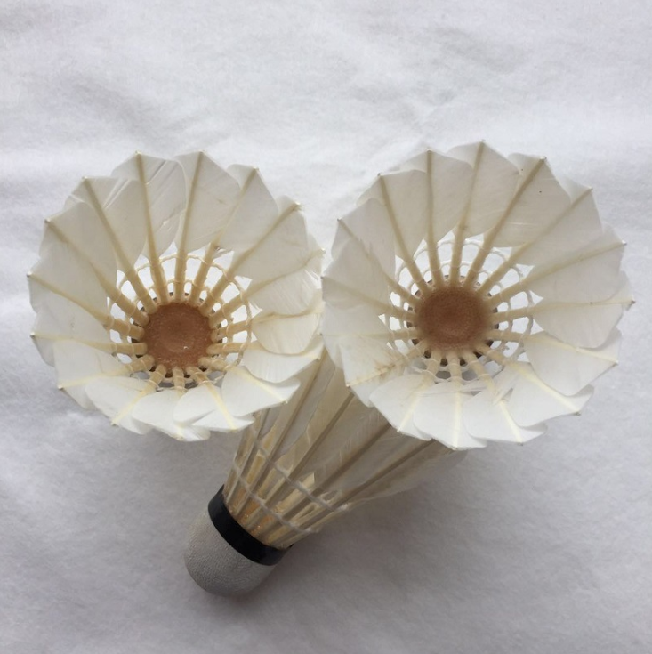 China professional manufacture string cheap ashaway badminton