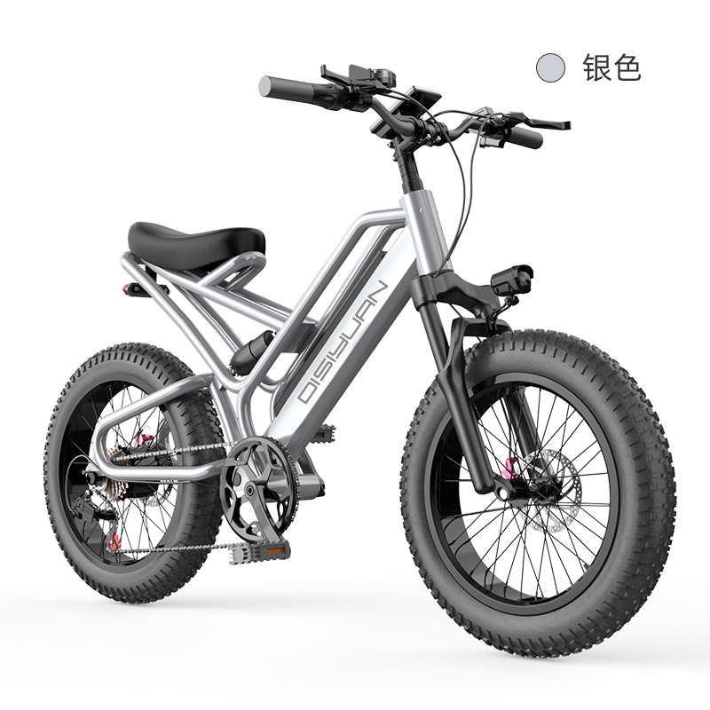2022 disiyuan велосипедная фабрика 20 дюймов 500W 750W 1000W e самокат электрический велосипед с большими колесами, Электрический горный велосипед