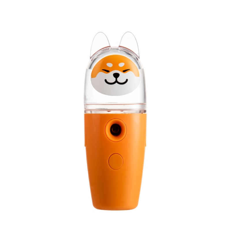 Face Steaming Facial Nano Mist Water Replenishing Instrument Mist Sprayer