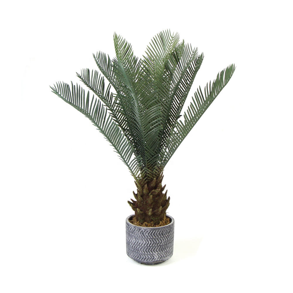 Decorative indoor and outdoor green artificial cycas revoluta palm tree seeds