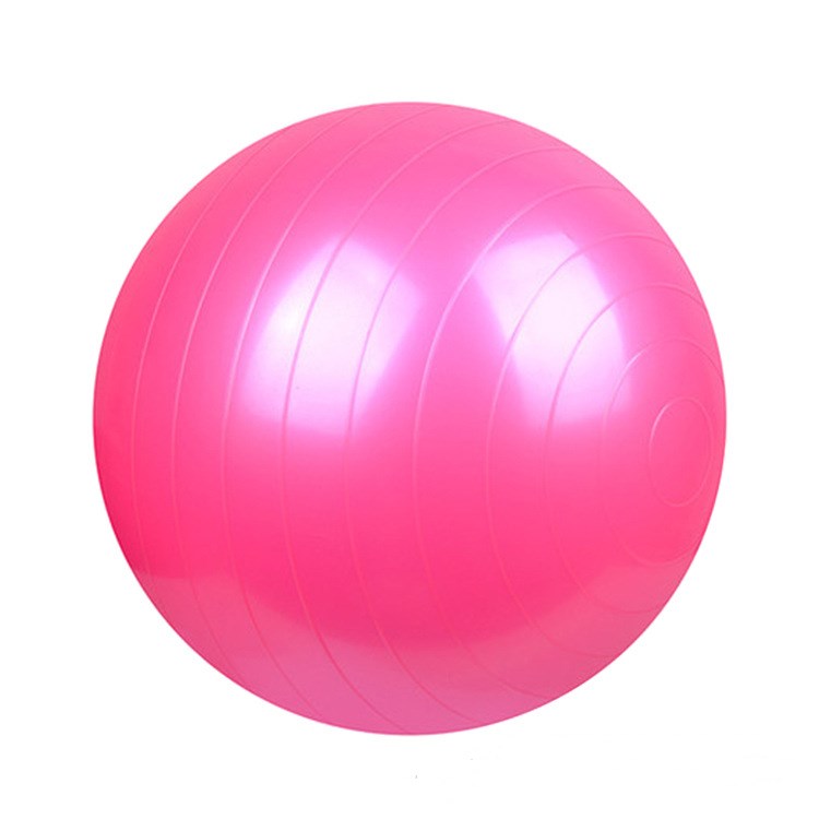 Exercise Ball with Quick Pump Home Yoga Ball Anti-Burst and Slip Resistant Fitness Ball