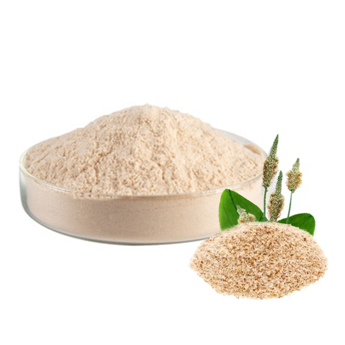Organic price psyllium seed husks extract pulveris 99% bulk Psyllium husk powder