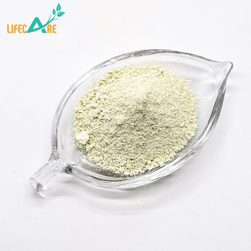 Factory Supply Raw Powder Apple Fiber Powder In Bulk