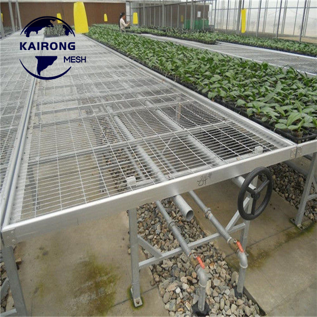 Good Performance Hydroponic Watering Rolling Growing Table System