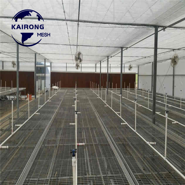 Professional Factory Ebb And Flow Rolling Bench For Hydroponic Grow Vegetables And Flowers
