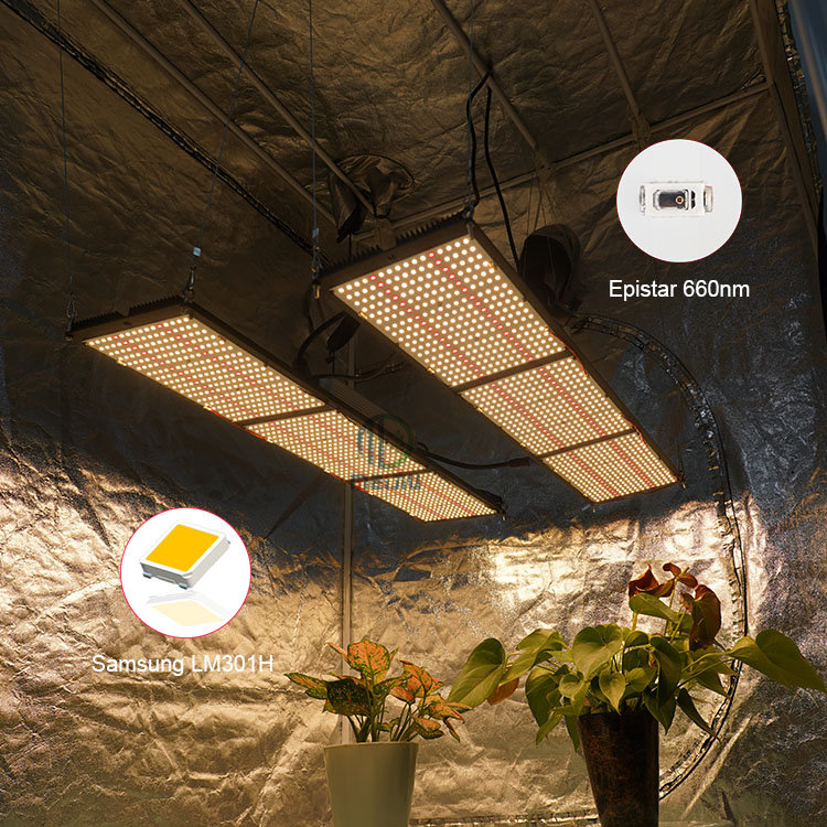 Meijiu оптом высокого урожая 600W folux плюс LM301H V3 микс инфракрасным режимом Qb288 Samsung LED Grow Light Комплект для выращивания растений в теплицах