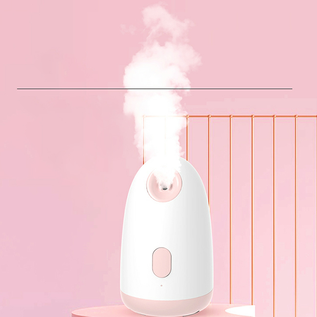 Humidifier Mini Handy Facial Steamer Professional Steamed Face Instrument
