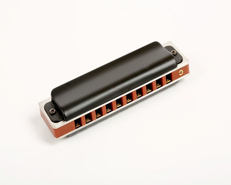 Factory Direct Sales 10-Hole Blues Whole Tone Scale Advanced Performance Harmonica