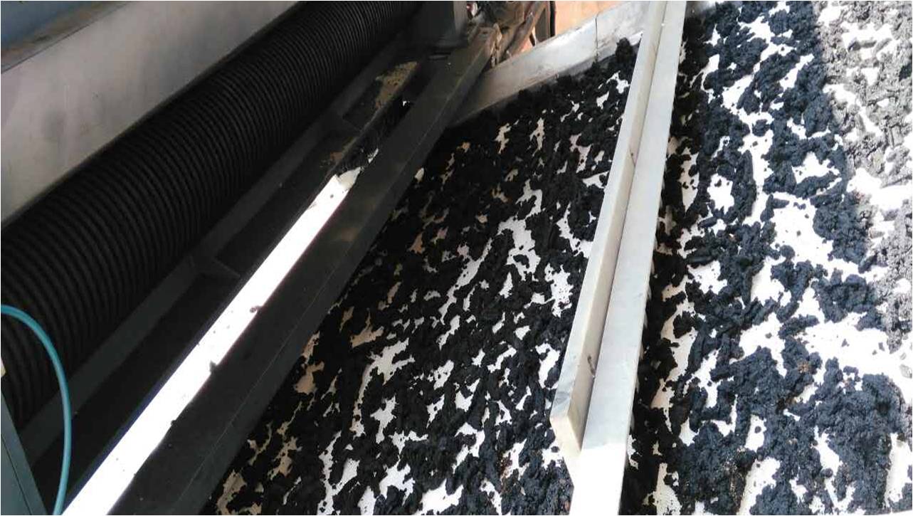 DW Series Single-Layer Mesh Belt Dryer for drying the sludge