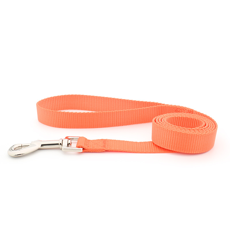High Quality Wholesale Nylon Pet Sturdy and Convenient Dog Rope Leash Pet Products