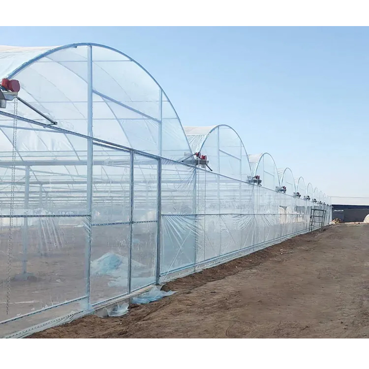 Factory wholesale External sunshade steel frame Commercial Multi Span film Greenhouse