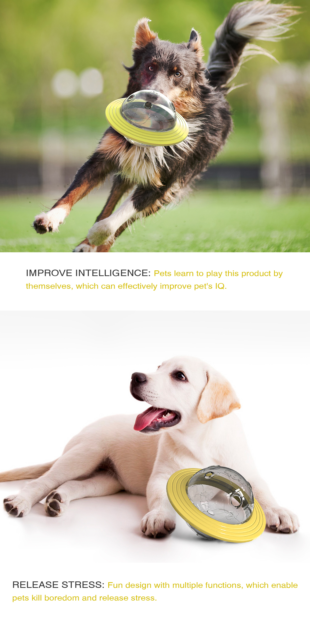 2021 Hot Selling Pet Products Anti-bite Dog Toys Flying Saucer Toy Ball Puzzle for Dogs Dogs Walking Training Pet Gate Everyday