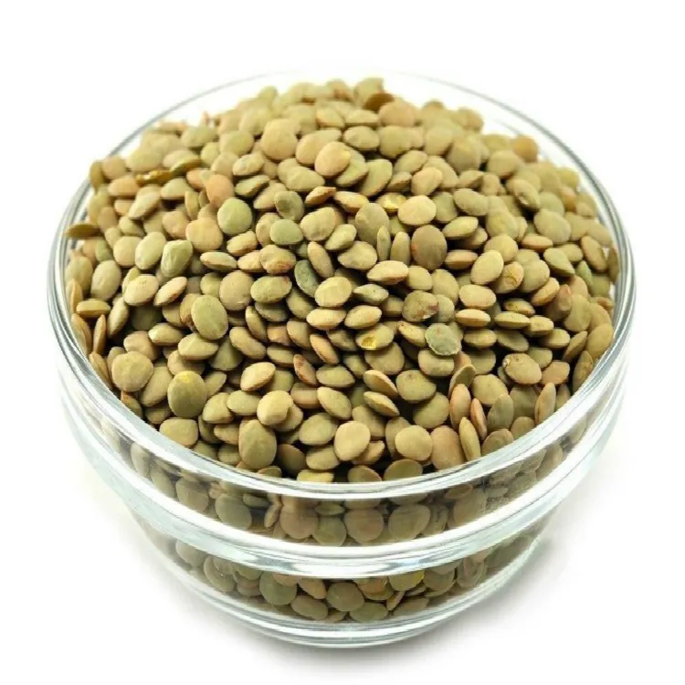 Lentils wholesale high quality green lentils