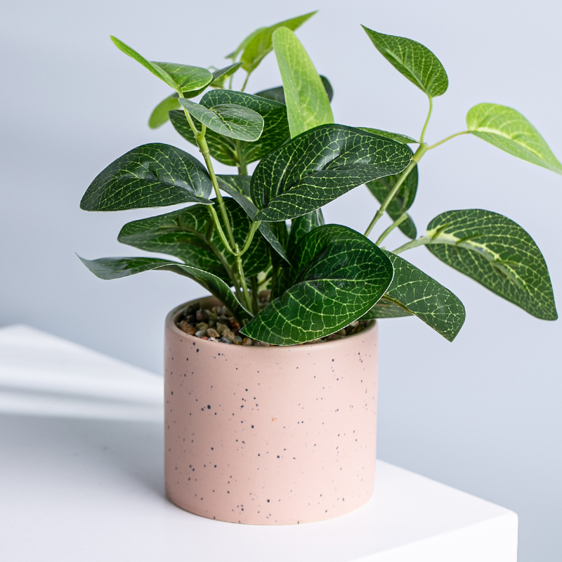 Искусственные растения фикус peperomia с керамическим горшком для дома, уличного садового украшения