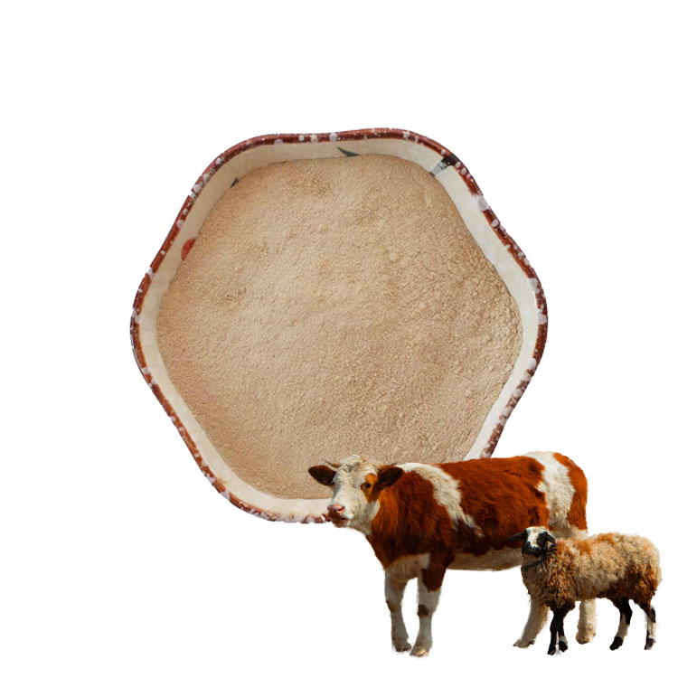 Super good High quality ruminants aid digestion Beneficial enzymes