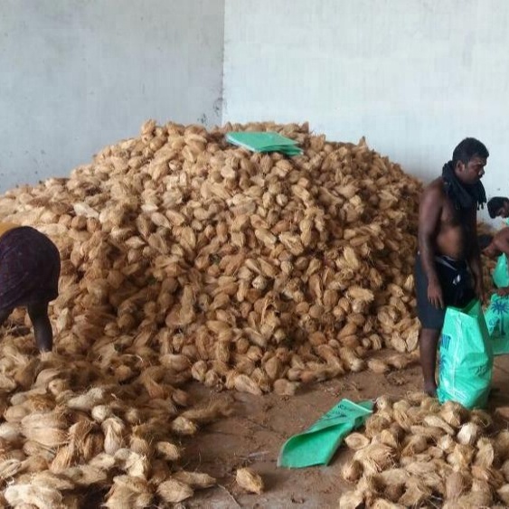 NATURAL SEMI HUSKED COCONUT