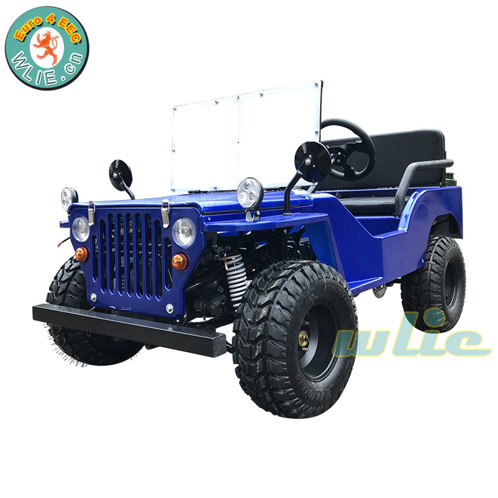 4 wheeler Дюна багги электрический мини джип