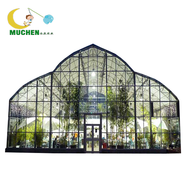 Polyhouses садовая теплица на продажу от weifang стальных конструкций