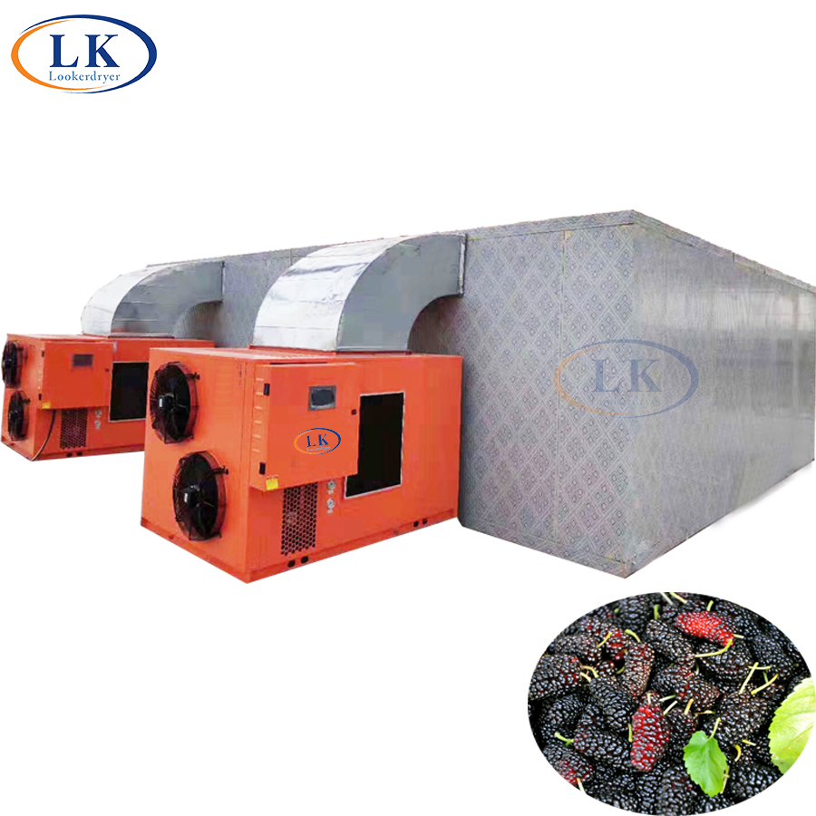 Eco food fruit dryer fruit dehydration plant sorosis dehydrator