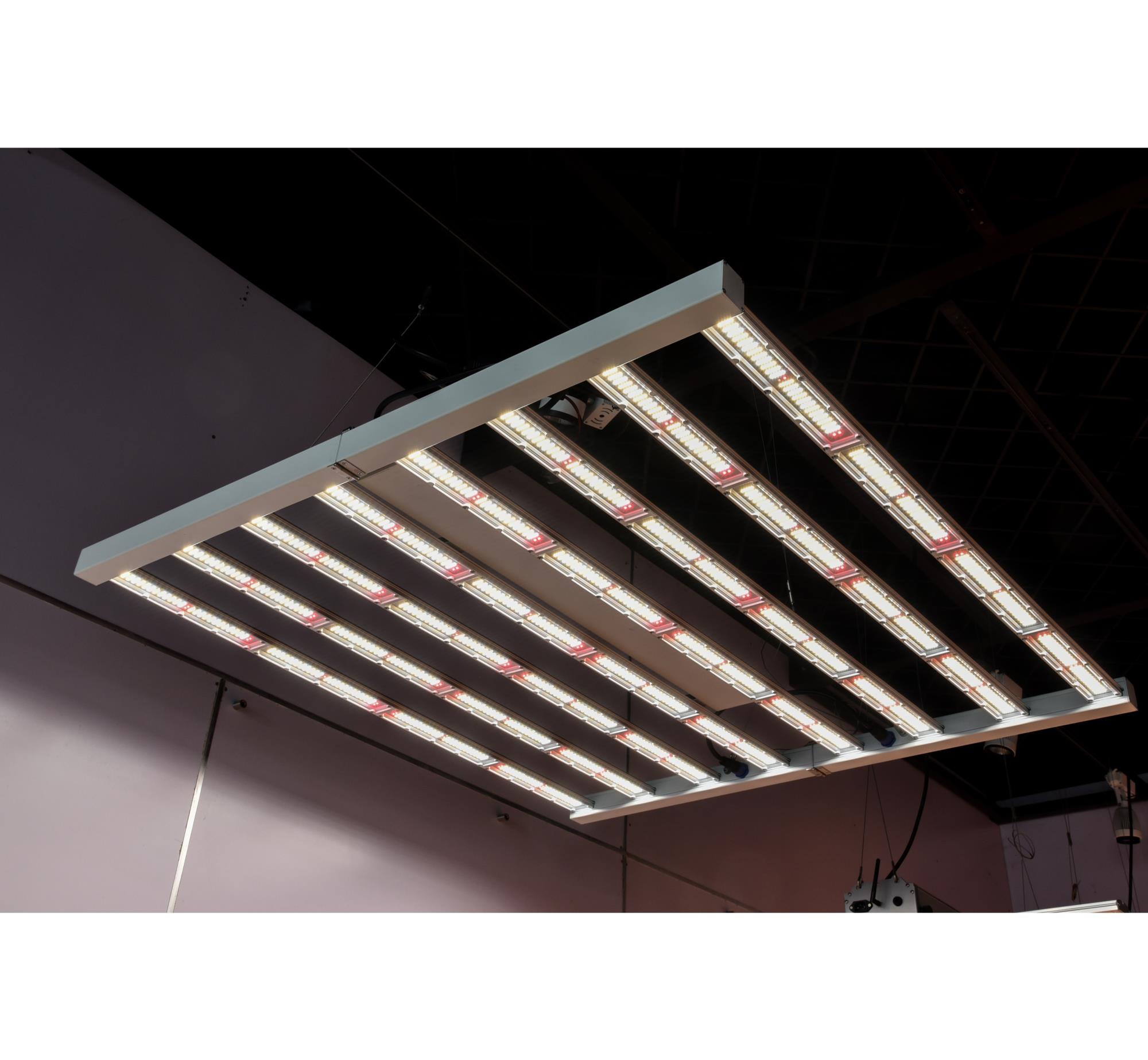 RisenGreen Rohs 500W 750W High Yield Strawberry mushroom Greenhouse Ppe 2.7 Umol 640 650 700 800 1000 Watt Small Led Grow Light